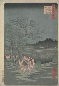 Fox Fires on New Year's Eve at the Shozoku Hackberry Tree in Oji, no. 118 from the series One-hundred Views of Famous Places in Edo