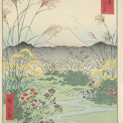 The Otsuki Plain in Kai Province, no. 31 from the series Thirty-six Views of Mt. Fuji