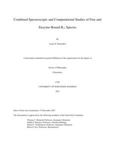 Combined Spectroscopic and Computational Studies of Free and Enzyme-Bound B12 Species