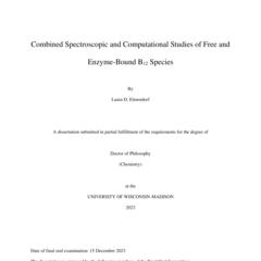 Combined Spectroscopic and Computational Studies of Free and Enzyme-Bound B12 Species