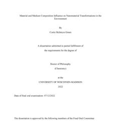 Material and Medium Composition Influence on Nanomaterial Transformations in the Environment