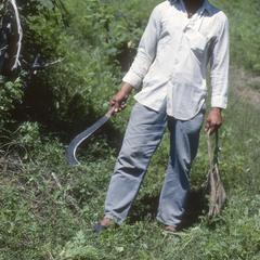 Man with sugar cane machete