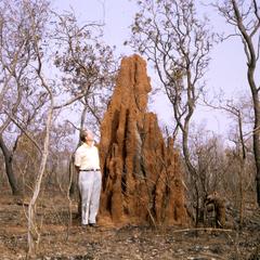 Man next to termite mound