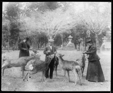 Feeding the deer at Nara