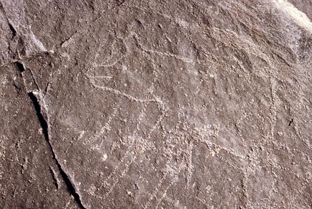 True Petroglyph : Hyena