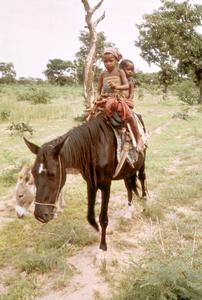 Fulbe Children on a Horse Traveling in the Bush
