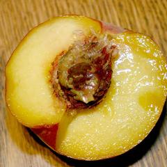Cut peach showing stone