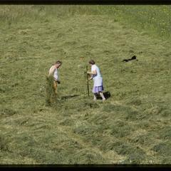 Isle of Skye, man and woman cutting hay, no. 2 of 2