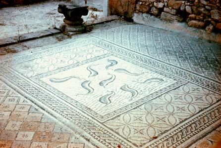 Fish Mosaic in Roman Ruins at Volubilis Near Meknes