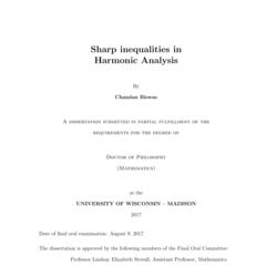 Sharp inequalities in Harmonic Analysis