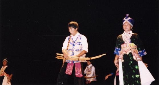 Performers in traditional Hmong costume