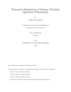 Numerical Simulation of Intense Ultrafast Quantum Phenomena