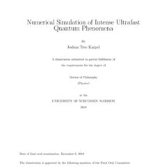 Numerical Simulation of Intense Ultrafast Quantum Phenomena