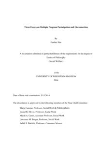 Three Essays on Multiple Program Participation and Disconnection