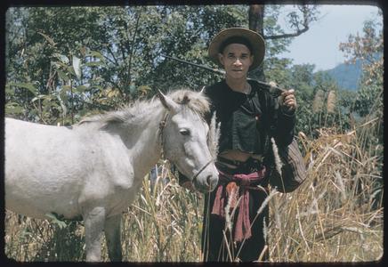 Hmong (Meos) with ponies