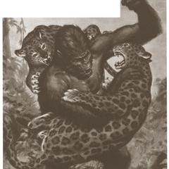 Gorilla Leopard Print