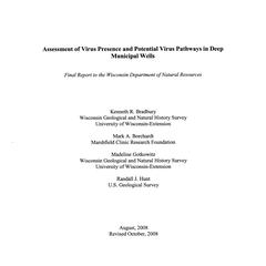 Assessment of virus presence and potential virus pathways in deep municipal wells
