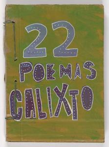 22 poemas