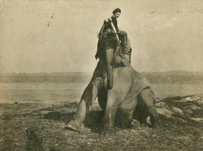 Mable Hall Campbell sitting on the head of elephant
