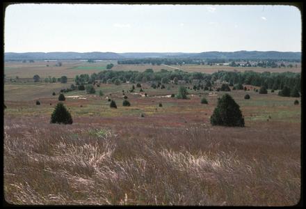 View of sand prairie (foreground) across old field - sand blow to the south