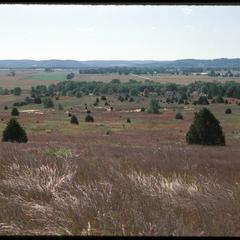 View of sand prairie (foreground) across old field - sand blow to the south