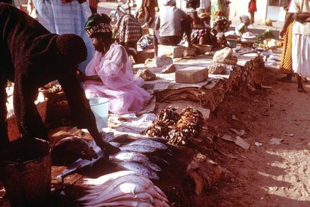 Woman Merchant Wearing Typical Senegalese Dress in Fish Market at the Beach of Soumbedioune