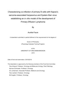 Characterizing co-infection of primary B cells with Kaposi’s sarcoma-associated herpesvirus and Epstein-Barr virus: establishing an in vitro model of the development of Primary Effusion Lymphoma