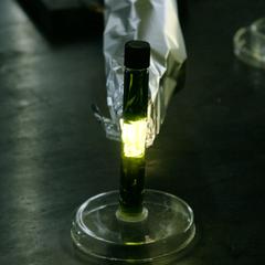 Light transmitted through pigment extract of a leaf