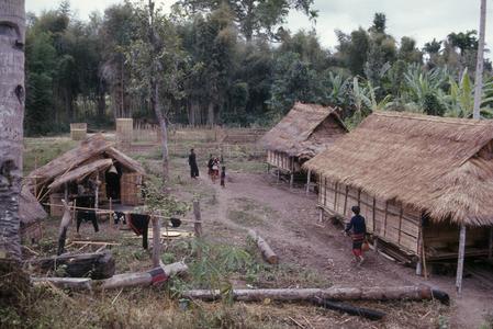 Village scene