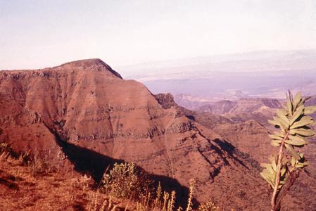 Rift Valley Scene