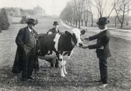 Professor George Humphrey and holstein cow