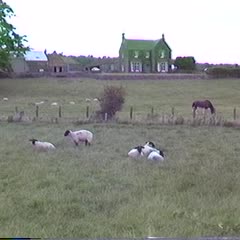 Landscapes in rural northeast Fife (video)