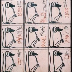 Egyptian Hamadryas Baboon Hieroglyphs
