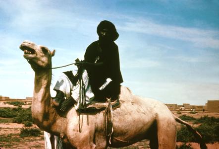 Tuareg Man on Camel