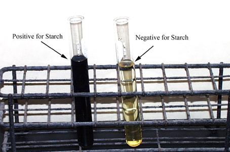 Test for starch using iodine