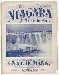 The Niagara