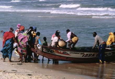 Community Gathered to Unload the Catch from a Fishing Boat