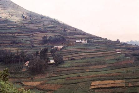 Terracing in Kigezi District