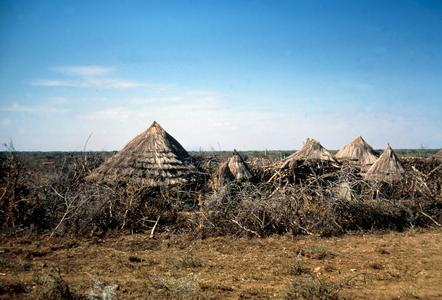 Temporary Housing of Karamojang