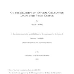 On the Stability of Natural Circulation Loops with Phase Change