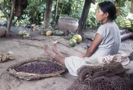 Indian woman in Palenque with cocoa beans