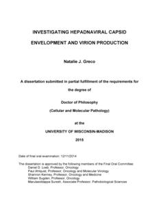 Investigating Hepadnaviral Capsid Envelopment and Virion Production