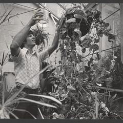Student in the greenhouse