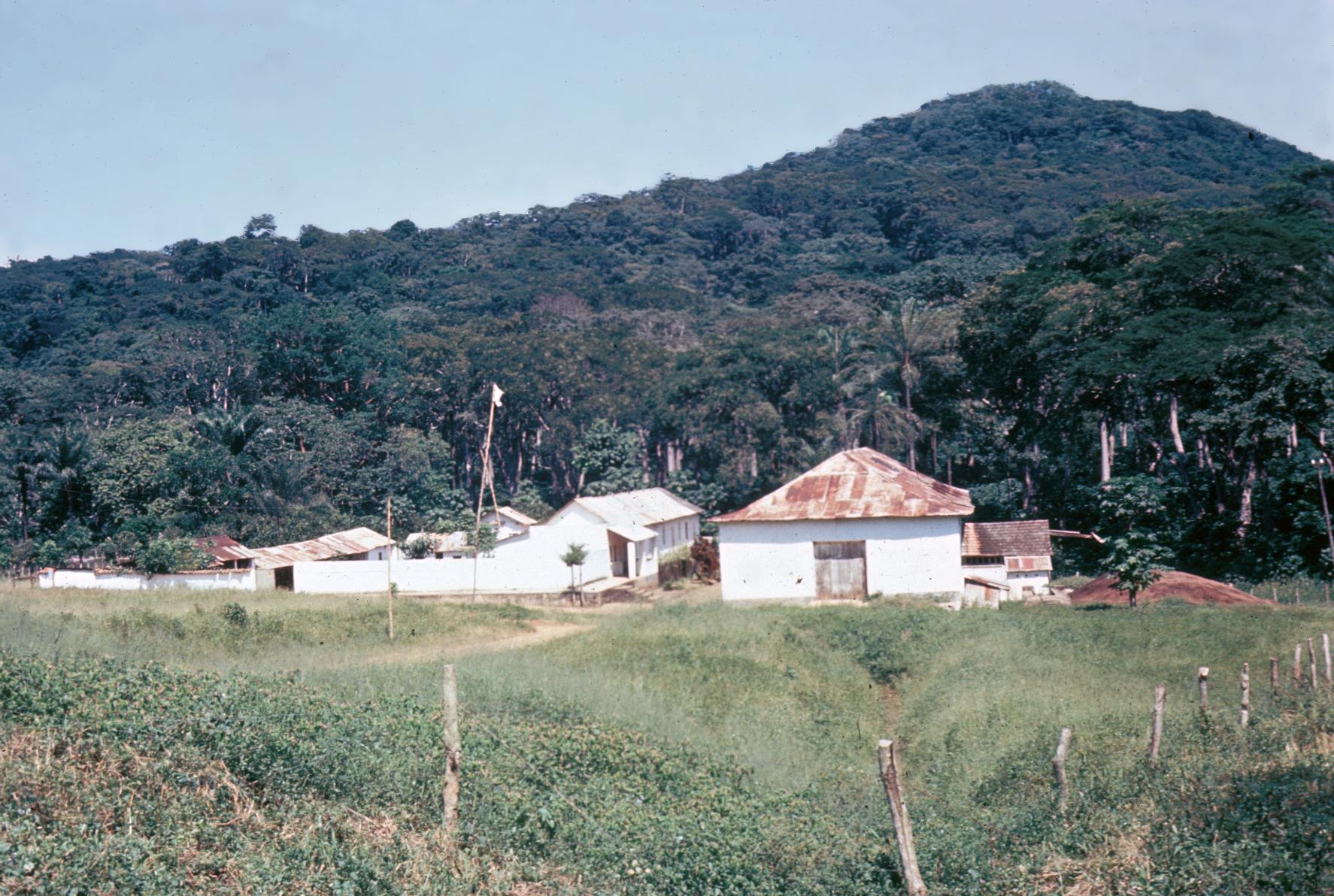 Portuguese Coffee Plantation at Vila Salazar