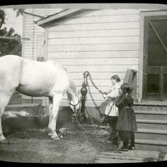 Dewey kids and white horse, force pump of iron