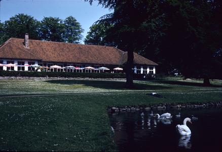 Restaurant with swans