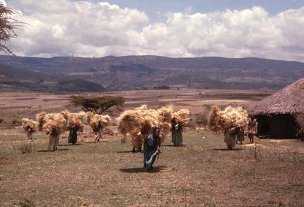 Women Carrying Straw From the Harvest