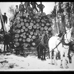 Horses and loggers