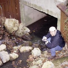 Measuring temperature and dissolved oxygen at storm sewer flowing from Nakoma neighborhood