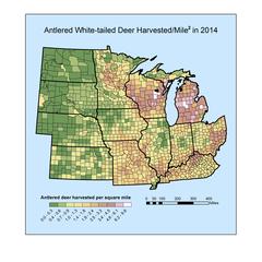 Antlered white-tailed deer harvested/mile² in 2014